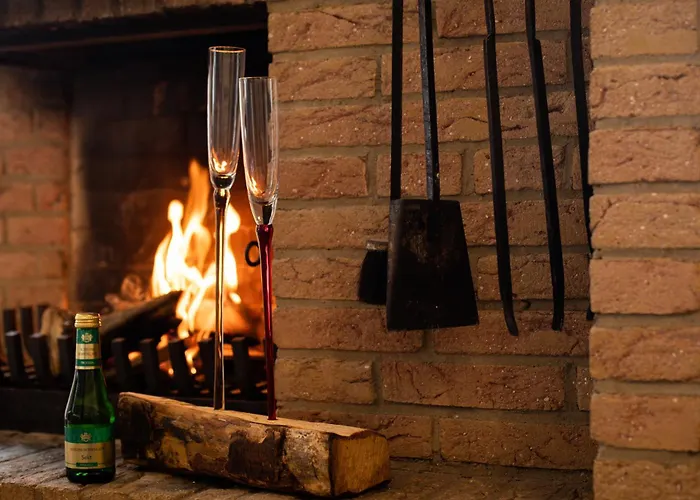 Daire Zum Brack Venn *